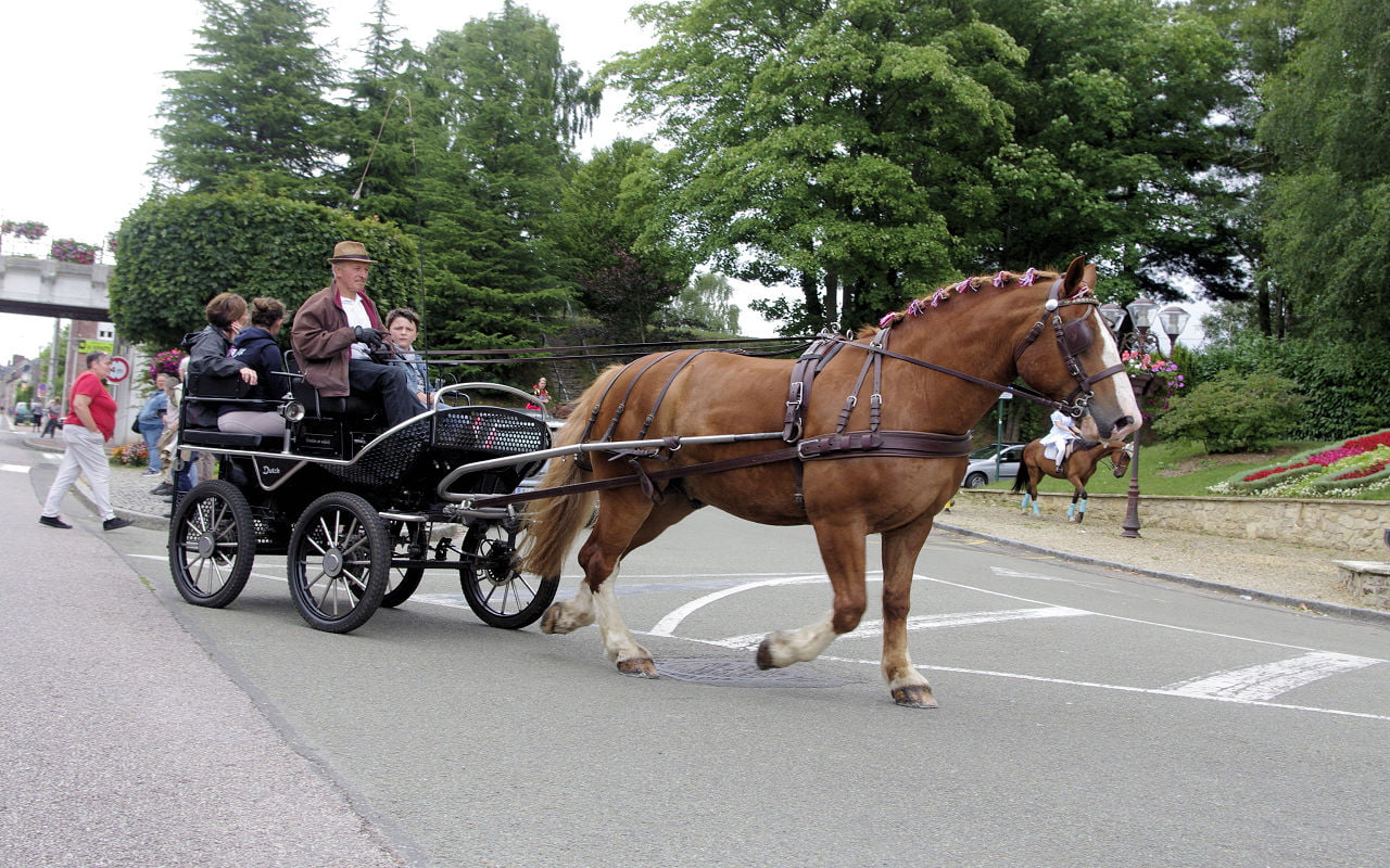 Fête du cheval 2017