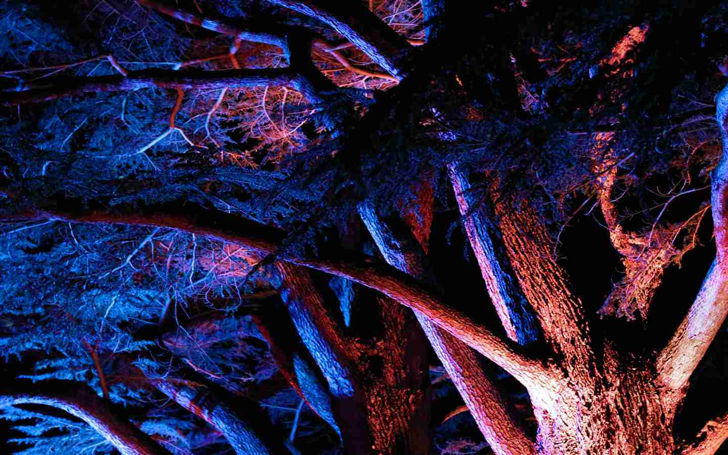 « Merveilleux » à Harcourt : un spectacle féérique