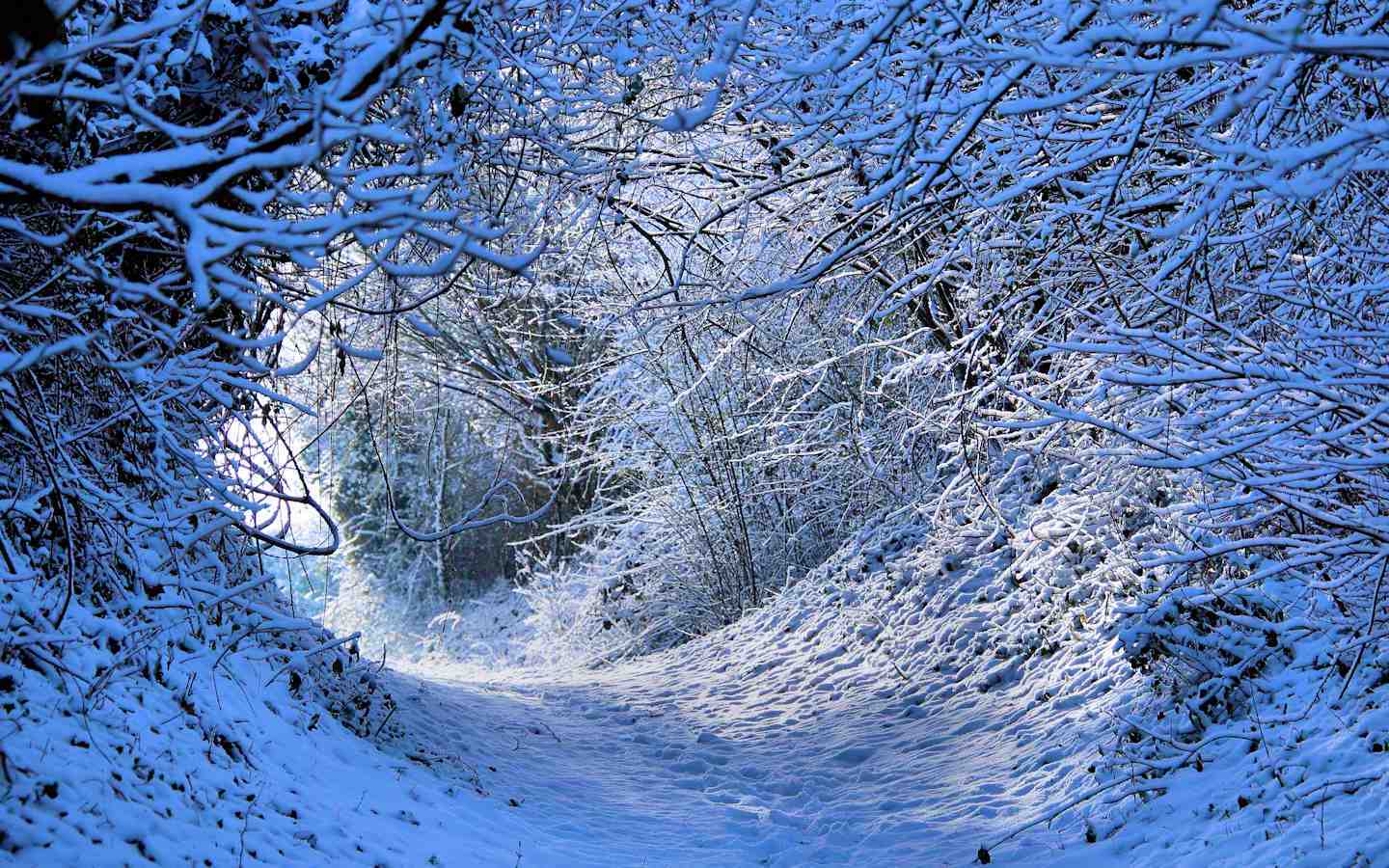 Le Pays de Bray sous la neige