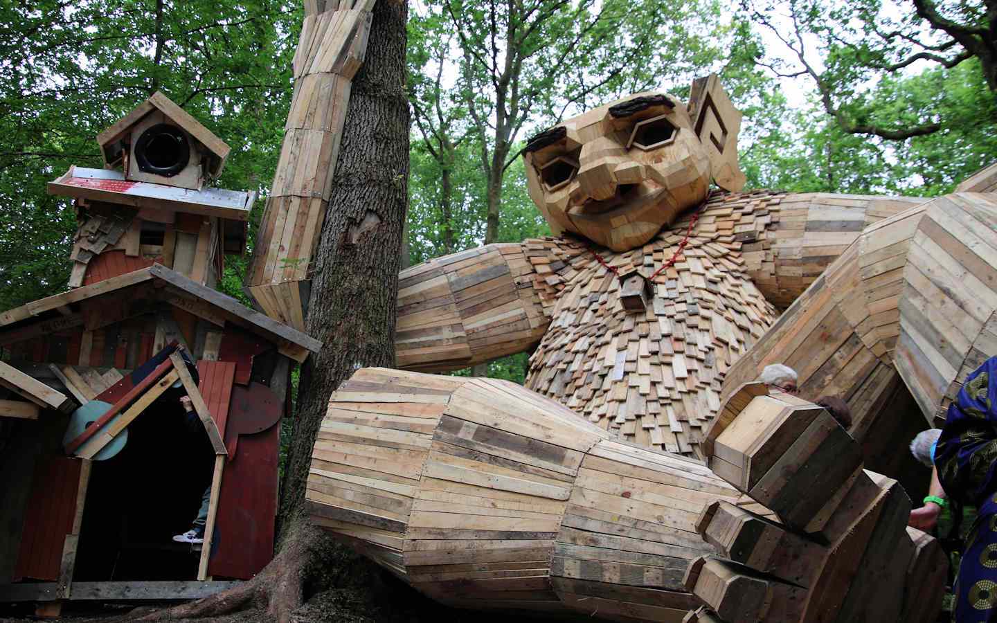 Forêt monumentale : une exploration artistique dans la Forêt Domaniale de Roumare