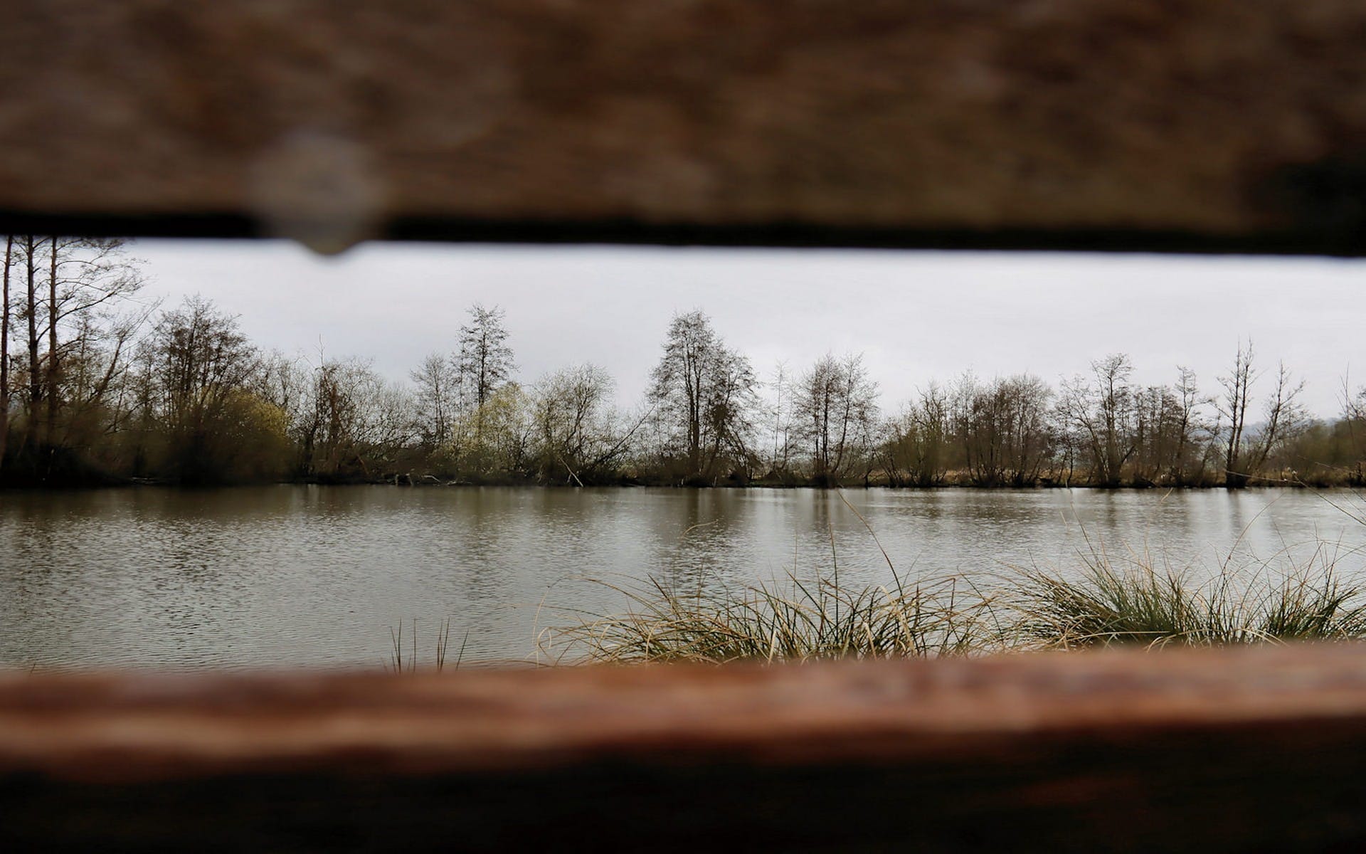 Sortie photo aux Étangs des Tourbières