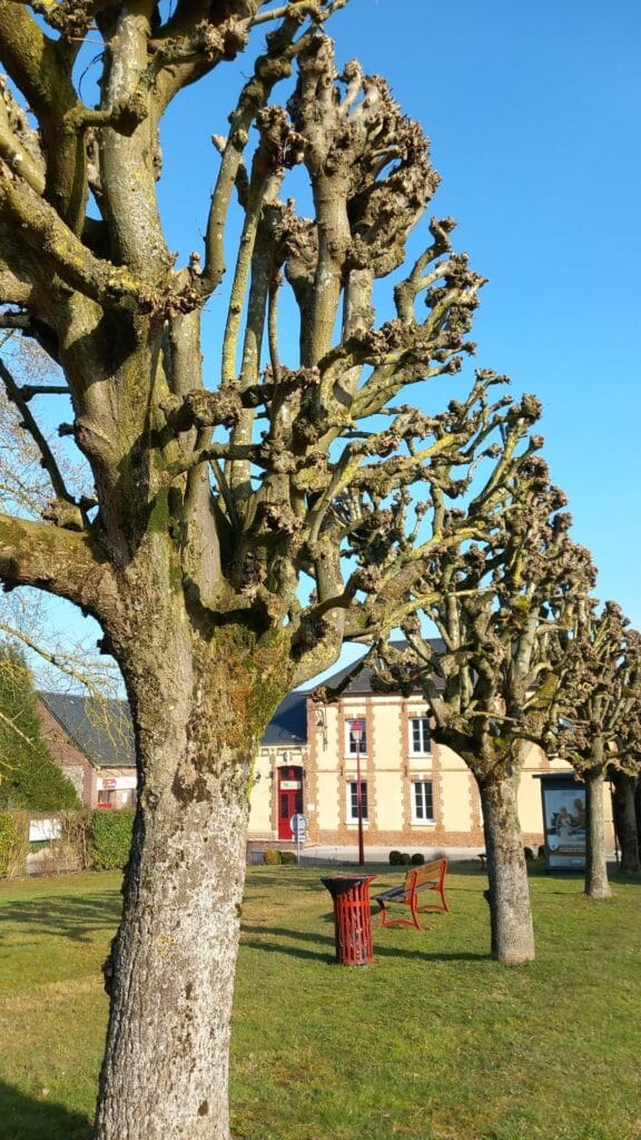 Autour de Saint Pierre Es Champs, Pays de Bray