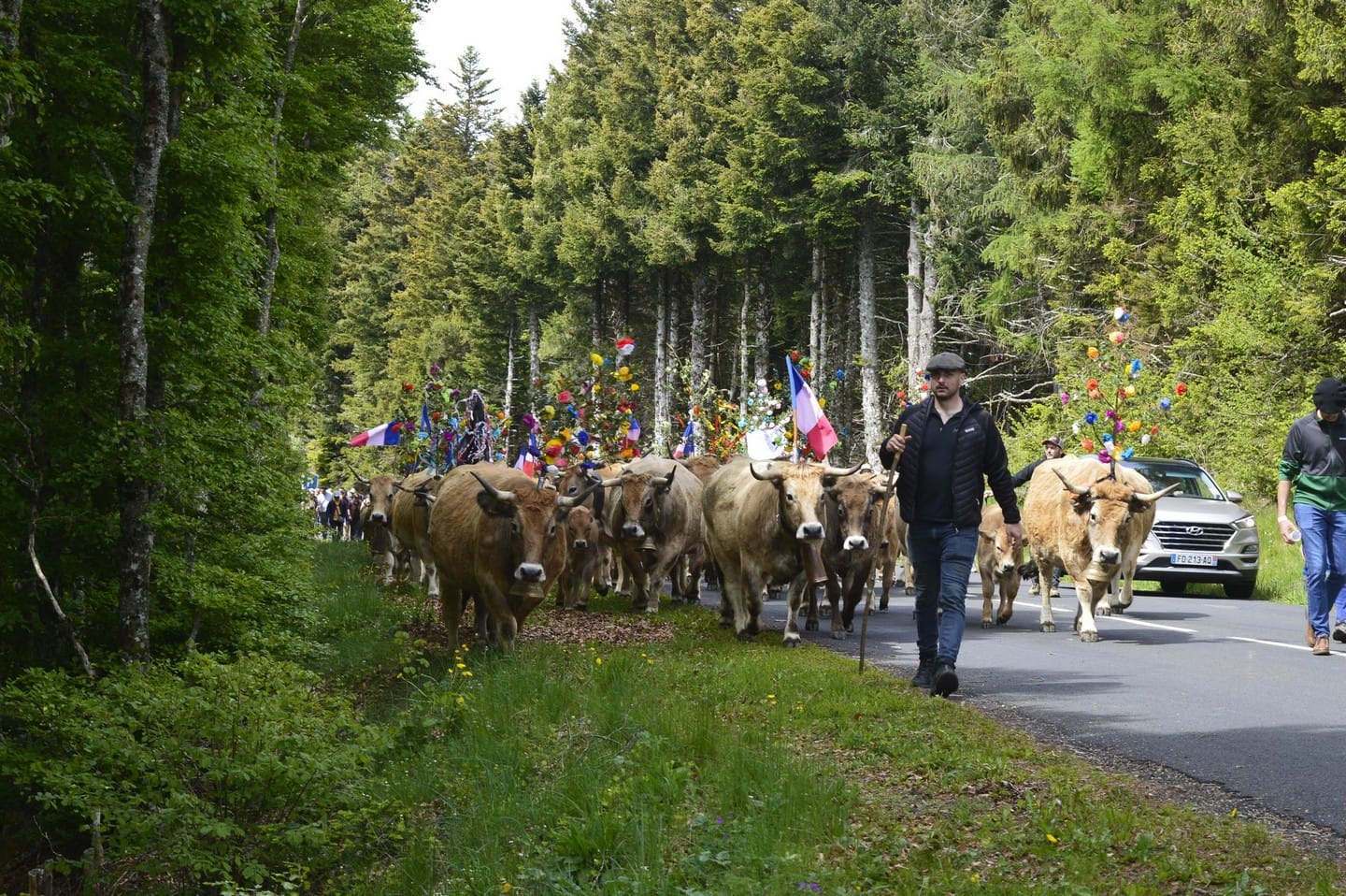 La fête de la transhumance