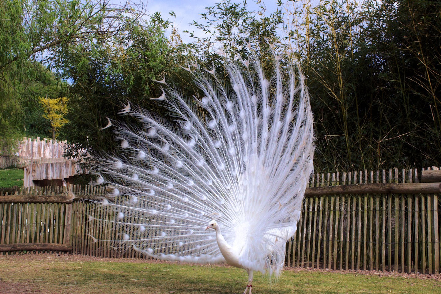 Les jardins animaliers Biotropica