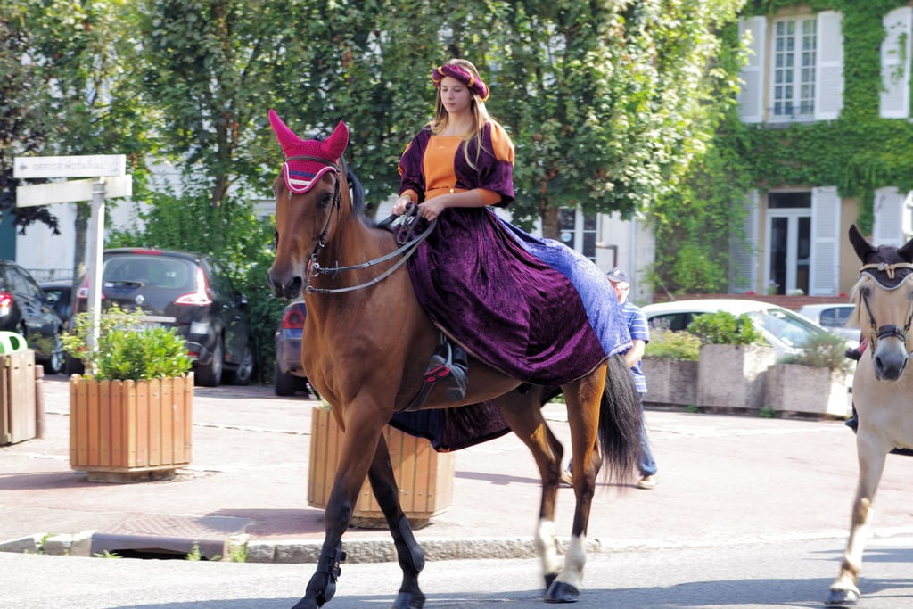 Fête du cheval 2014