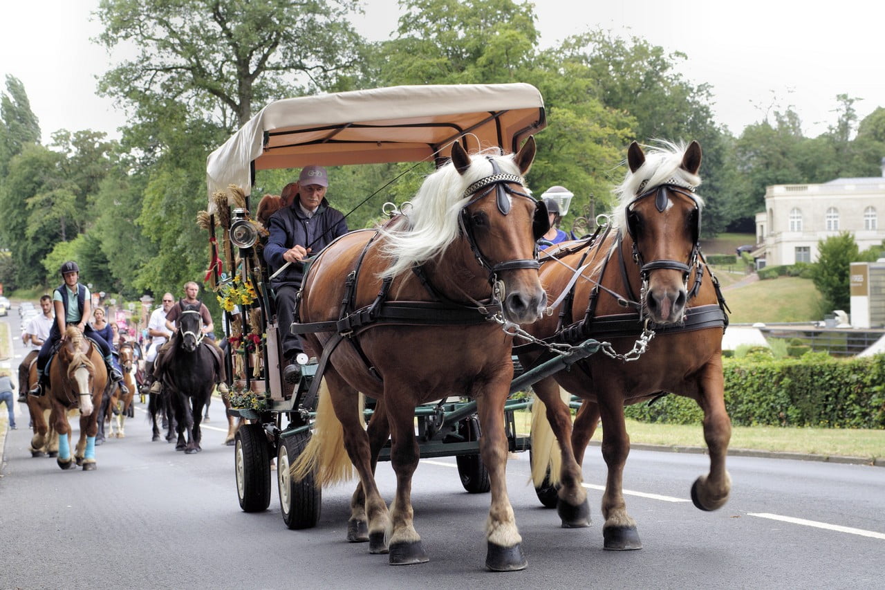 Fête du cheval 2018