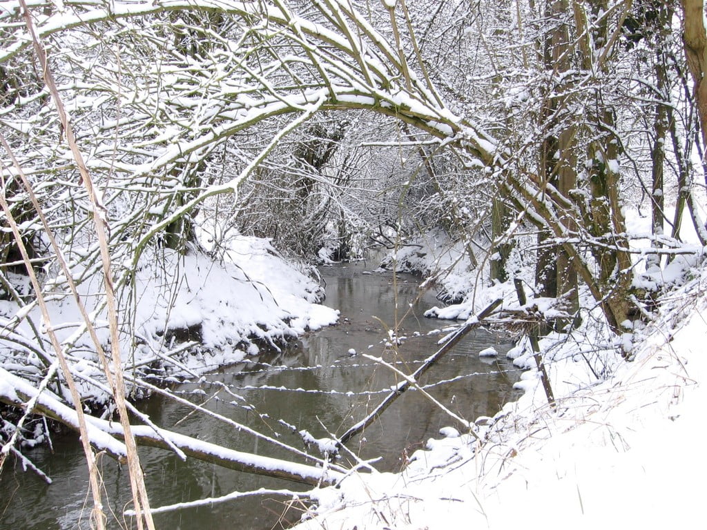 Argueil sous la neige